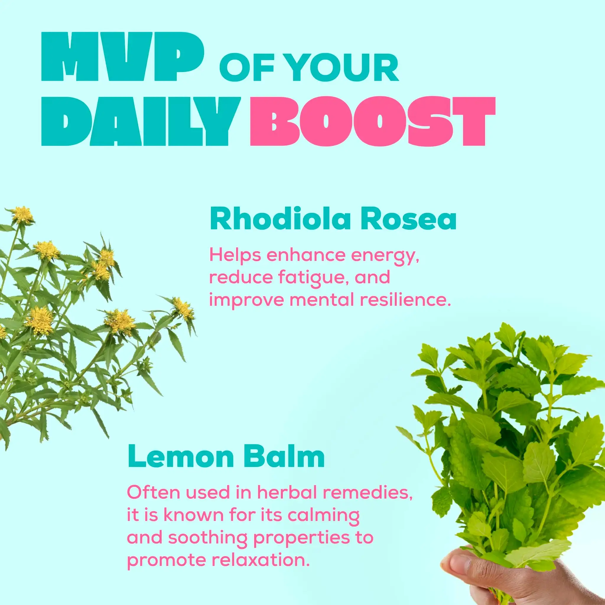 CHILL PILL - Image 4