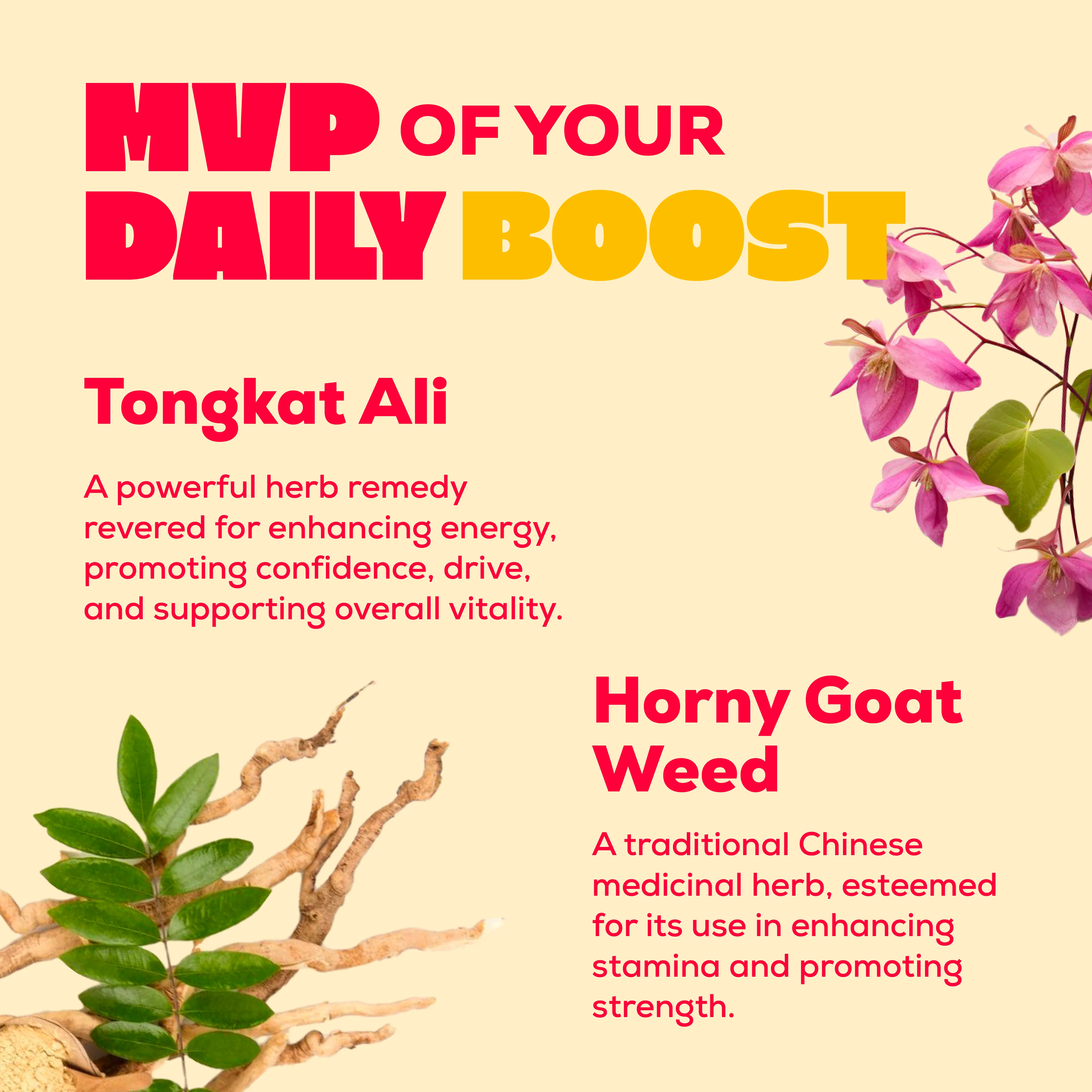 HEROES DOSE - Image 4