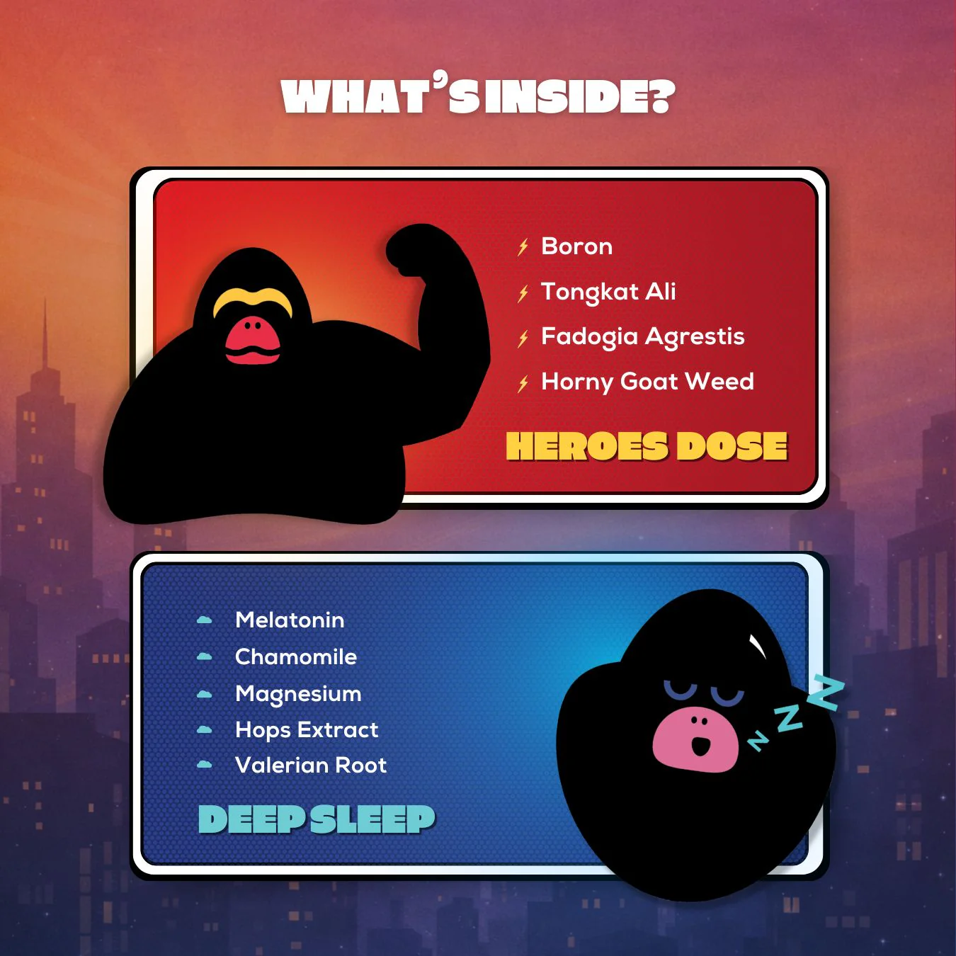 LIFT & RECOVER BUNDLE - Image 3